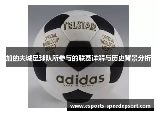 加的夫城足球队所参与的联赛详解与历史背景分析 加的夫城足球队所参与的联赛详解与历史背景分析